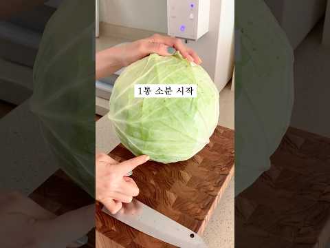 양배추 이렇게 소분하니 진짜 오래가요! #양배추소분 #살림