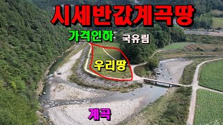 (가격인하)시세반값기막힌계곡접한땅/평탄한평지/아무도없는곳/강접하고 주위풍광좋은 독립된공간 캠핑장&귀촌용 좋은땅/정선토지매매