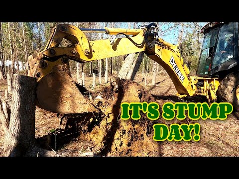 Getting the stumps out of the house build spot!! farm, tiny house, homesteading, RV life, RV living|