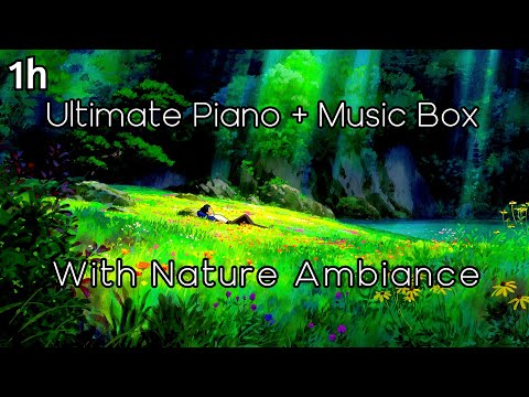 1h of Piano + Music Box  Smooth Music for meditation Relax and sleepy Spring + Nature Ambiance lofi