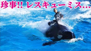 【珍事】スカイロケットレスキューミス・・・ 鴨川シーワールド シャチショー KamogawaSeaWorld  orca killerwhale