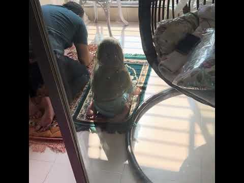 The Best Feeling in the World..!!When Your Little Ozge Prays Namaz with Her Dad..!!