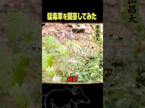 東出昌大 / 猛毒草を園芸してみた