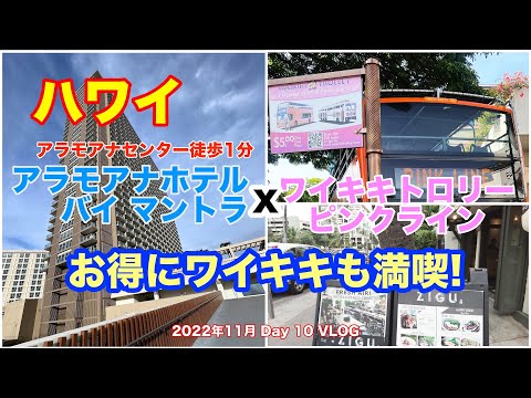 【15】３年半ぶりの夫婦ハワイ旅行  アラモアナホテルに泊まってワイキキトロリーピンクラインを利用してワイキキを満喫！ 　【Nov. Day10】