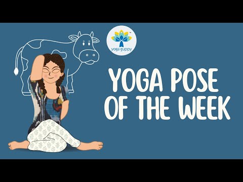 Yoga Pose of the Week | Cow Pose | Improve Flexibility with Yoga | Yoga Guppy