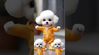 #ytviralvideo #dancecrazed puppy 🐶#viralcontent