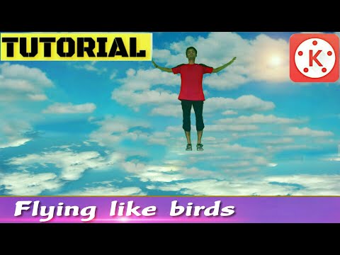 How to make flying like bird effect in kinemaster pro [In English] 2019