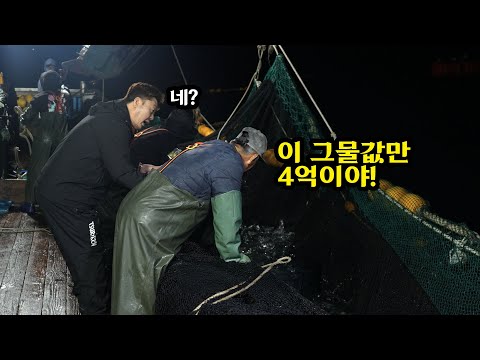 10월의 제철 수산물 정치망 삼치잡이 조업 현장을 다녀왔습니다!