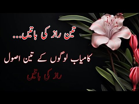 raaz ki batain | 3 raaz waly kam | golden words pak voice | hazrat ali k aqwal