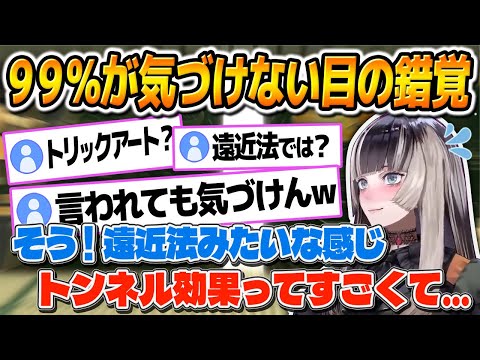 99%が気付けない目の錯覚！視覚芸術における身近な例を紹介する儒烏風亭らでん【儒烏風亭らでん/ReGLOSS/切り抜き】