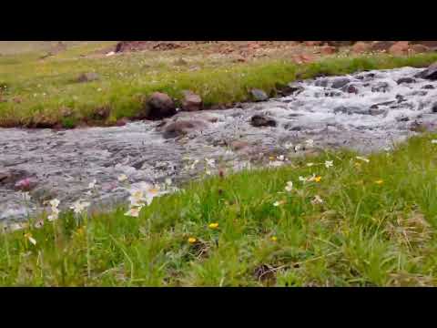 Stream flowing from hill. #relaxing              Video by Celal keser