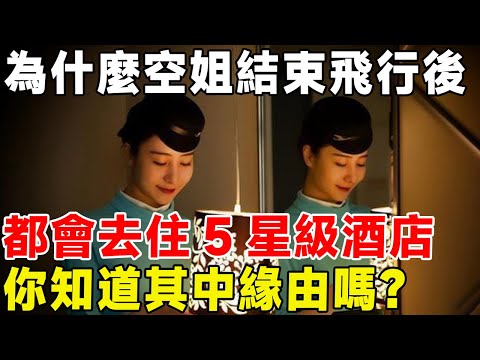 為什麼空姐結束飛行後，都會去住5星級酒店，你知道其中緣由嗎？#科普頻道 #科普 #空姐