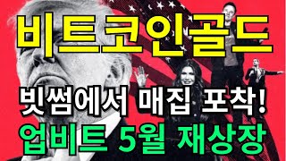 [ 비트코인골드 전망 ] 빗썸에서 매집 포착   ( 업비트 5월 재 상장 )