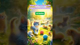 Cat Lovers Only: Fun Facts Trivia Game