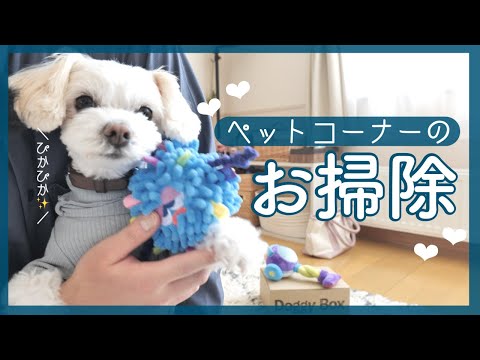 【わが家のペットコーナー🐶】春のお掃除でスッキリ✨｜犬服｜トイレ｜収納｜給水器