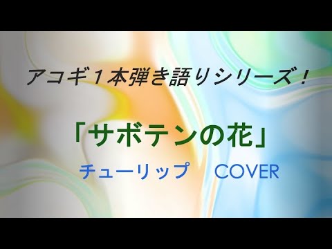 サボテンの花〜チューリップ cover