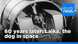 60 years on - Laika the dog in space | euronews 🇬🇧