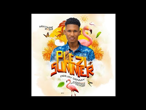 Mixtape Plezi Summer 2k24 - DEEJAY DENMIX