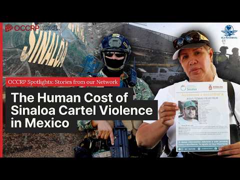 Living in Fear: How Mexico’s Cartel Wars Engulfed Culiacán