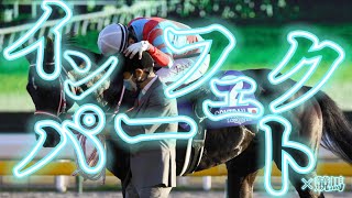 インパーフェクト×競馬‼︎‼︎ ヒーローの軌跡［競馬mad］