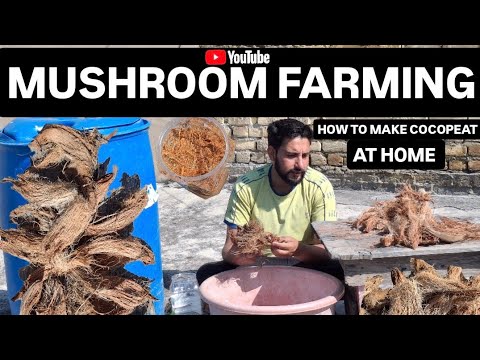 Mushroom farming in India | How to make cocopeat at home | Cocopeat uses for growing plant &Mushroom