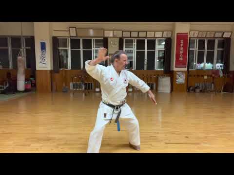 Chatanyara nu Sai opening segment explained #karate #okinawa #空手 #沖縄 #信武舘 #古武道 #shimbukan #kobudo