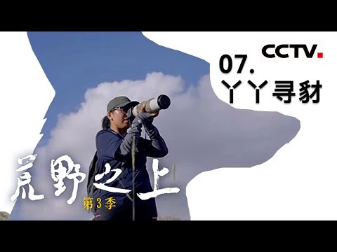 《荒野之上》第三季 07 丫丫寻豺：探秘喀喇昆仑山北麓 丫丫五度寻觅神秘豺的足迹！【CCTV纪录】