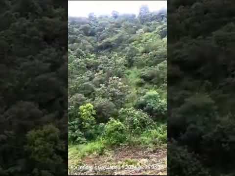 Enjoy the nature #bestview #nature #viralvideo #love #travel #naturelovers#youtubeshorts #green#shat