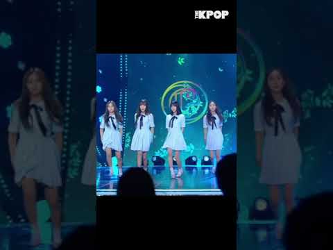 쿨타임 다찼다! 여자친구 완전체 컴백이다!!! #shorts #THEKPOP #THESHOW