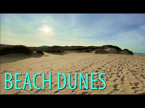 Beach Dunes- North Holland Dune Reserve & Schoorl Dunes Amsterdam