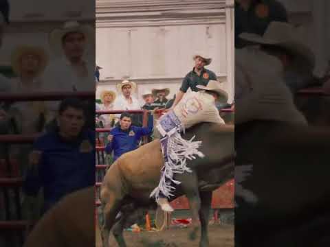 #jaripeo  #jaripeos Caída Jinete la Perrita