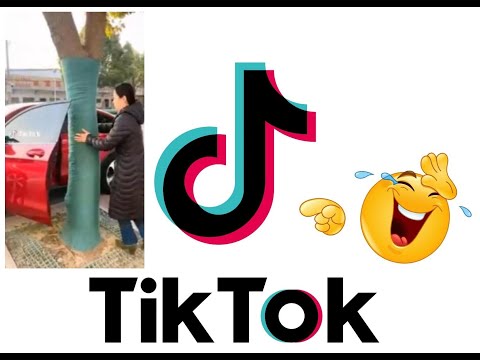 Funny TikTok Video Compilation