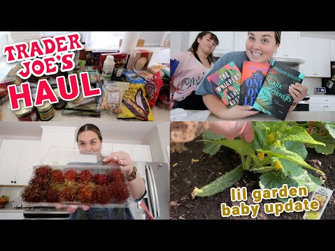 Trader Joe's Haul & Taste Test + What's killing these freaking tomatoes?