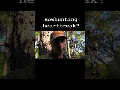 Bow hunting heartbreak? [deer stand laughs] | N1 Outdoors #bowhunting #whitetail #archery