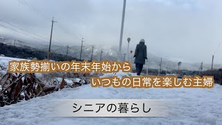 67【シニアの暮らし】家族勢揃いの幸せ＊猫もお泊まり＊七草粥と鏡開きの餅＊ストレスなしの簡単手作りゴミ入れ