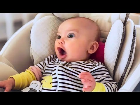 Ultimate Funny Baby Videos That’ll Crack You Up! 😂✨