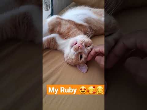 I love my cat Ruby 🥰🐈🤗