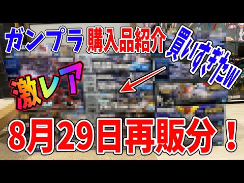 【ガンプラ】ガンプラが大量に再販されてたから大人買いしてきた結果www　SEED　ビルド　新作　プレバン　塗装　ストライク　フリーダム　HG MG　RG　一番くじ　ガンブレ　デスティニー　ガンダム