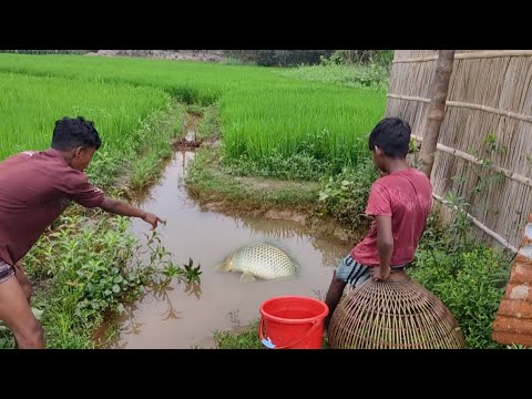 Finally Village Boy's Technique Success! He Got fish!