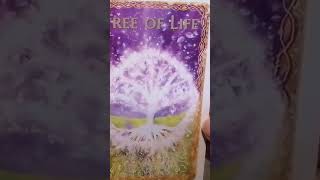 Lemurian light codes messages 🌈🦋🌞🌟😎😍🙏♥️