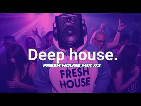 Vibey Deep House Mix 2025 (Fresh Selected Mix 3)