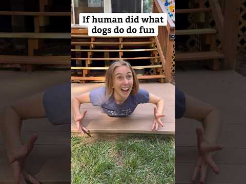 If humans did what dogs do for fun