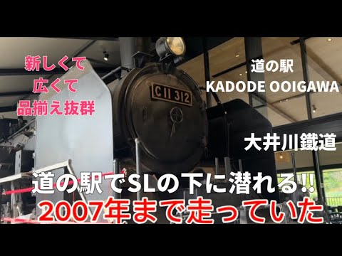 【初体験】道の駅で蒸気機関車の下に潜りこむ‼️品揃えも抜群👍KADODE OOIGAWAぜひみてね😆#道の駅#蒸気機関車#おすすめ