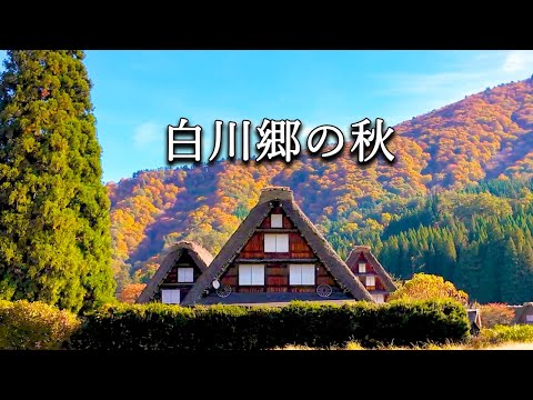 [Great views of Shirakawa-go] One of Japan's three most remote regions