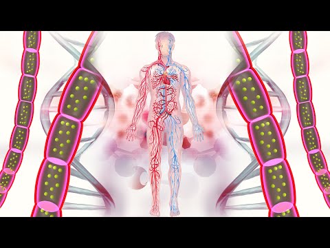 Deepest Recovery Frequency for Full Body and Soul Healing: Physical Healing with 432Hz + 532Hz