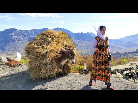 Village Lifestyle Iran: Amazing Cooking & Donkey Riding By A Girl