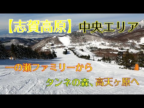 【志賀高原】中央エリア 一の瀬ファミリー上部からタンネの森を通って高天ヶ原へ