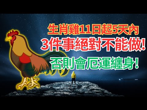 生肖雞注意，從10月11日起5天內，有3件事絕對不能做，否則會厄運纏身，千萬不可輕視！ #2024年屬雞運程 #2024生肖雞運勢 #2024属雞运势 #2024属雞运程