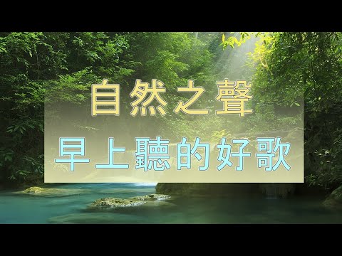 清晨鳥鳴聲聲滿滿正能量 - 超好听的钢琴曲和自然之聲 - 放鬆解壓 - 鬆音樂 - 放鬆音樂 Forest Sounds, Piano Music