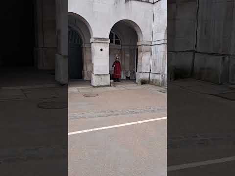 King's guards #king #guards #london #india #ytshots @vichethediamonds#